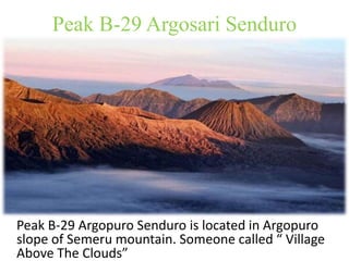 Peak B-29 Argosari Senduro 
Peak B-29 Argopuro Senduro is located in Argopuro 
slope of Semeru mountain. Someone called “ Village 
Above The Clouds” 
 