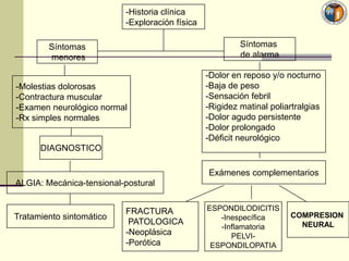 -Historia clínica
                          -Exploración física

        Síntomas                                         Síntomas
        menores                                          de alarma

                                                -Dolor en reposo y/o nocturno
-Molestias dolorosas                            -Baja de peso
-Contractura muscular                           -Sensación febril
-Examen neurológico normal                      -Rigidez matinal poliartralgias
-Rx simples normales                            -Dolor agudo persistente
                                                -Dolor prolongado
                                                -Déficit neurológico
      DIAGNOSTICO

                                                Exámenes complementarios
ALGIA: Mecánica-tensional-postural


                          FRACTURA              ESPONDILODICITIS
Tratamiento sintomático                            -Inespecífica      COMPRESION
                           PATOLOGICA                                   NEURAL
                                                   -Inflamatoria
                          -Neoplásica                 PELVI-
                          -Porótica              ESPONDILOPATIA
 