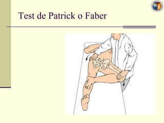 Test de Patrick o Faber
 