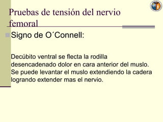 Pruebas de tensión del nervio
 femoral
 Signo de O´Connell:

 Decúbito ventral se flecta la rodilla
 desencadenado dolor en cara anterior del muslo.
 Se puede levantar el muslo extendiendo la cadera
 logrando extender mas el nervio.
 