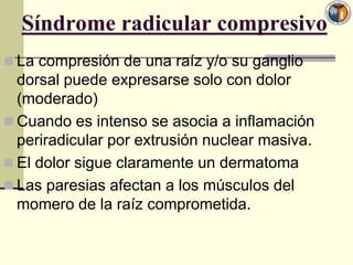 Síndrome radicular compresivo
 La compresión de una raíz y/o su ganglio
  dorsal puede expresarse solo con dolor
  (moderado)
 Cuando es intenso se asocia a inflamación
  periradicular por extrusión nuclear masiva.
 El dolor sigue claramente un dermatoma
 Las paresias afectan a los músculos del
  momero de la raíz comprometida.
 