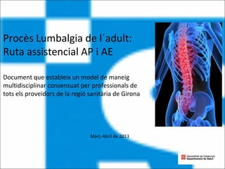 Procès Lumbalgia de l´adult:
Ruta assistencial AP i AE
Document que estableix un model de maneig
multidisciplinar consensuat per professionals de
tots els proveïdors de la regió sanitària de Girona

Març-Abril de 2013

 