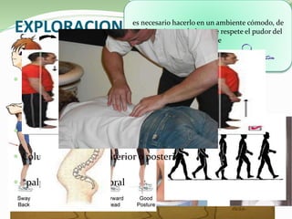Nosología de Lumbalgia | PPTX