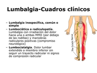 Lumbalgia-Cuadros clínicos
– Lumbalgia inespecífica, común o
simple
– Lumbociática o radiculopatía.
Lumbalgia con irradiación del dolor
hacia una o ambas MMII (por debajo
de las rodillas) y maniobras
radiculares positivas (compromiso
neurológico)
– Lumbociatalgia. Dolor lumbar
extendido a miembro inferior sin
seguir un trayecto radicular ni signos
de compresión radicular
 