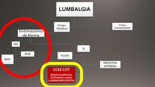 LUMBALGIA
Origen
Vertebral
Síntomas/sinos
de Alarma
NO
MAP
RHB
SI
CCEE COT
(RADICULOPATIAS,
ESTENOSIS CANAL
LUMBAR/MIELOPATIA)
MEDICINA
INTERNA
HUVN
Origen
Extrabertebral
 