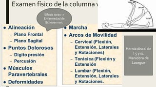 Examen físico de la columna vertebral
Sifosis torax ->
Enfermedad de
Scheuerman.
Hernia discal de
l 5 y s1
Maniobra de
Lasegue
 