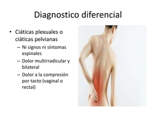 Diagnostico diferencial
• Ciáticas plexuales o
ciáticas pelvianas
– Ni signos ni síntomas
espinales
– Dolor multirradicular y
bilateral
– Dolor a la compresión
por tacto (vaginal o
rectal)
 