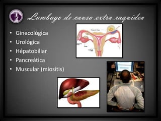 • Ginecológica
• Urológica
• Hépatobiliar
• Pancreática
• Muscular (miositis)
Lumbago de causa extra raquídea
 