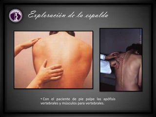 Exploración de la espalda
• Con el paciente de pie palpe las apófisis
vertebrales y músculos para vertebrales.
 
