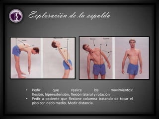 • Pedir que realice los movimientos:
flexión, hiperextensión, flexión lateral y rotación
• Pedir a paciente que flexione columna tratando de tocar el
piso con dedo medio. Medir distancia.
Exploración de la espalda
 