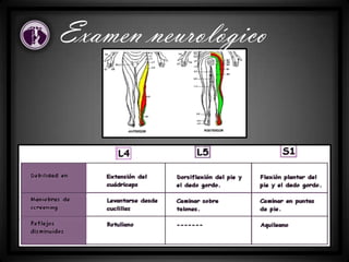 Examen neurológico
 