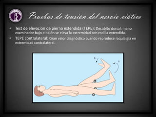 • Test de elevación de pierna extendida (TEPE): Decúbito dorsal, mano
examinador bajo el talón se eleva la extremidad con rodilla extendida.
• TEPE contralateral: Gran valor diagnóstico cuando reproduce raquialgia en
extremidad contralateral.
Pruebas de tensión del nervio ciático
 