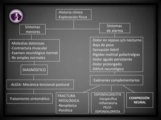 -Historia clínica
-Exploración física
Síntomas
menores
Síntomas
de alarma
-Molestias dolorosas
-Contractura muscular
-Examen neurológico normal
-Rx simples normales
-Dolor en reposo y/o nocturno
-Baja de peso
-Sensación febril
-Rigidez matinal poliartralgias
-Dolor agudo persistente
-Dolor prolongado
-Déficit neurológicoDIAGNÓSTICO
ALGIA: Mecánica-tensional-postural
Tratamiento sintomático
FRACTURA
PATOLÓGICA
-Neoplásica
-Porótica
Exámenes complementarios
COMPRESIÓN
NEURAL
ESPONDILODICITIS
-Inespecífica
-Inflamatoria
PELVI-
ESPONDILOPATÍA
 