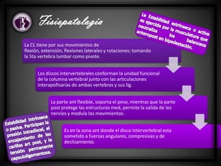 La CL tiene por sus movimientos de
flexión, extensión, flexiones laterales y rotaciones; tomando
la 5ta vertebra lumbar como pivote.
Los discos intervertebrales conforman la unidad funcional
de la columna vertebral junto con las articulaciones
interapofisarias de ambas vertebras y sus lig.
La parte ant flexible, soporta el peso, mientras que la parte
post protege las estructuras med, permite la salida de los
nervios y modula los movimientos.
Es en la zona ant donde el disco intervertebral esta
sometido a fuerzas angulares, compresivas y de
deslizamiento.
Fisiopatología
 