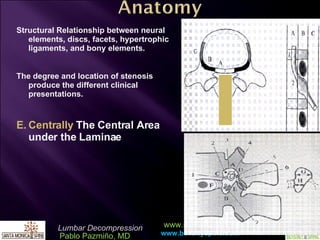 Structural Relationship between neural elements, discs, facets, hypertrophic ligaments, and bony elements. The degree and location of stenosis produce the different clinical presentations. Centrally  The   Central Area under the Laminae 