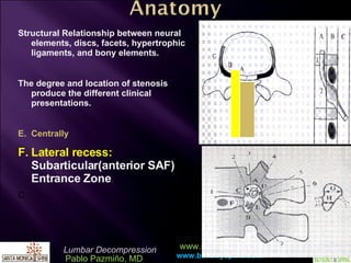 Structural Relationship between neural elements, discs, facets, hypertrophic ligaments, and bony elements. The degree and location of stenosis produce the different clinical presentations. Centrally Lateral recess:  Subarticular(anterior SAF) Entrance Zone C  