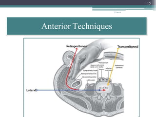 lumbar-interbody-fusionindications-techniques-and-complications ...