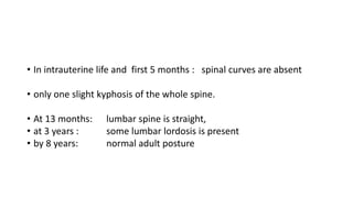 • In intrauterine life and first 5 months : spinal curves are absent
• only one slight kyphosis of the whole spine.
• At 13 months: lumbar spine is straight,
• at 3 years : some lumbar lordosis is present
• by 8 years: normal adult posture
 