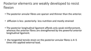 Posterior elements are weakly developed to resist
flexion
• The posterior annular fibres are sparser and thinner than the anterior.
• diffusion is less posteriorly- less nutrition and mostly strained
• The posterior longitudinal ligament affords only weak reinforcement,
whereas the anterior fibres are strengthened by the powerful anterior
longitudinal ligament.
• the tangential tensile strain on the posterior annular fibres is 4–5
times the applied external load.
 