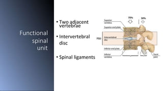 Functional
spinal
unit
• Two adjacent
vertebrae
• Intervertebral
disc
• Spinal ligaments
 