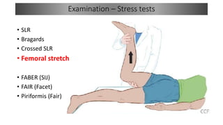 Lumbar Disc prolapse - Basics.pptx