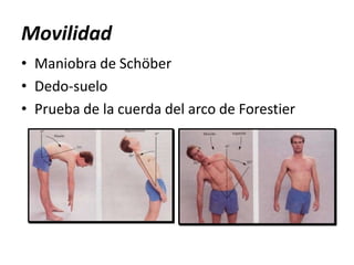 Movilidad
• Maniobra de Schöber
• Dedo-suelo
• Prueba de la cuerda del arco de Forestier
 