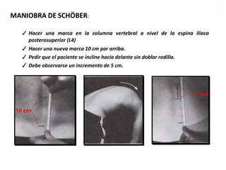 MANIOBRA DE SCHÖBER:
✓ Hacer una marca en la columna vertebral a nivel de la espina iliaca
posterosuperior (L4)
✓ Hacer una nueva marca 10 cm por arriba.
✓ Pedir que el paciente se incline hacia delante sin doblar rodilla.
✓ Debe observarse un incremento de 5 cm.
10 cm
∆ 5 cm
 