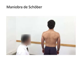 Maniobra de Schöber
 