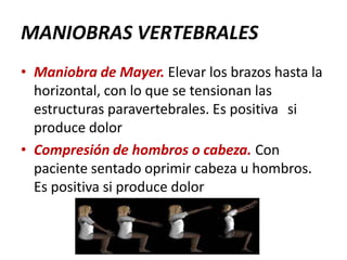 MANIOBRAS VERTEBRALES
• Maniobra de Mayer. Elevar los brazos hasta la
horizontal, con lo que se tensionan las
estructuras paravertebrales. Es positiva si
produce dolor
• Compresión de hombros o cabeza. Con
paciente sentado oprimir cabeza u hombros.
Es positiva si produce dolor
 