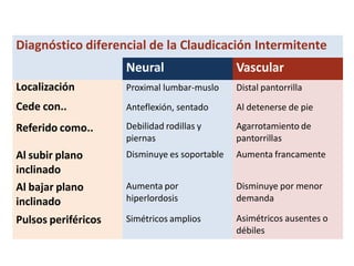 Diagnóstico diferencial de la Claudicación Intermitente
Neural Vascular
Proximal lumbar-muslo Distal pantorrilla
Anteflexión, sentado Al detenerse de pie
Localización
Cede con..
Referido como.. Debilidad rodillas y
piernas
Disminuye es soportable
Agarrotamiento de
pantorrillas
Aumenta francamente
Aumenta por
hiperlordosis
Disminuye por menor
demanda
Al subir plano
inclinado
Al bajar plano
inclinado
Pulsos periféricos Simétricos amplios Asimétricos ausentes o
débiles
 
