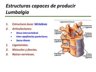 Estructuras capaces de producir
Lumbalgia
•
•
•
1. Estructura ósea: Vértebras
2. Articulaciones:
Disco intervertebral.
Inter-apofisarias posteriores.
Sacro-iliacas
1. Ligamentos.
2. Músculos y fascias.
3. Raíces nerviosas.
 