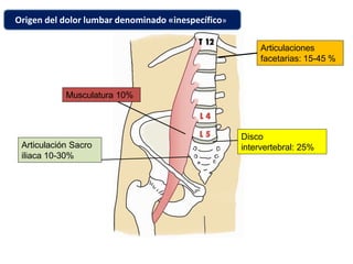 Musculatura 10%
Disco
intervertebral: 25%
Articulaciones
facetarias: 15-45 %
Articulación Sacro
iliaca 10-30%
Origen del dolor lumbar denominado «inespecífico»
 