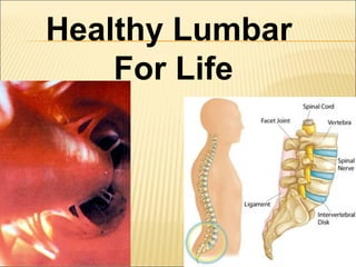 Healthy Lumbar
For Life
 