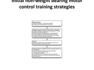 Initial non-weight bearing motor
control training strategies
 