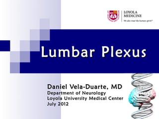 Lumbar Plexus

Daniel Vela-Duarte, MD
Department of Neurology
Loyola University Medical Center
July 2012
 
