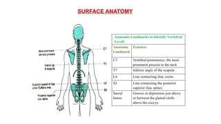SURFACE ANATOMY
Anatomic Landmarks to Identify Vertebral
Levels
Anatomic
Landmark
Features
C7 Vertebral prominence, the most
prominent process in the neck
T7 Inferior angle of the scapula
L4 Line connecting iliac crests
S2 Line connecting the posterior
superior iliac spines
Sacral
hiatus
Groove or depression just above
or between the gluteal clefts
above the coccyx
 