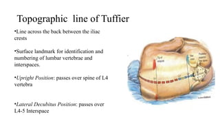 Topographic line of Tuffier
•Line across the back between the iliac
crests
•Surface landmark for identification and
numbering of lumbar vertebrae and
interspaces.
•Upright Position: passes over spine of L4
vertebra
•Lateral Decubitus Position: passes over
L4-5 Interspace
 