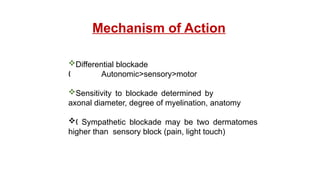 Differential blockade
Autonomic>sensory>motor
„
Sensitivity to blockade determined by
axonal diameter, degree of myelination, anatomy
 Sympathetic blockade may be two dermatomes
„
higher than sensory block (pain, light touch)
Mechanism of Action
 
