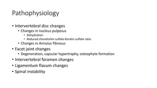 Pathophysiology
• Intervertebral disc changes
• Changes in nucleus pulposus
• Dehydration
• Reduced chondroitin sulfate:Keratin sulfate ratio
• Changes in Annulus fibrosus
• Facet joint changes
• Degeneration, capsular hypertrophy, osteophyte formation
• Intervertebral foramen changes
• Ligamentum flavum changes
• Spinal instability
 