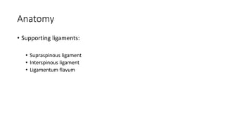 Anatomy
• Supporting ligaments:
• Supraspinous ligament
• Interspinous ligament
• Ligamentum flavum
 