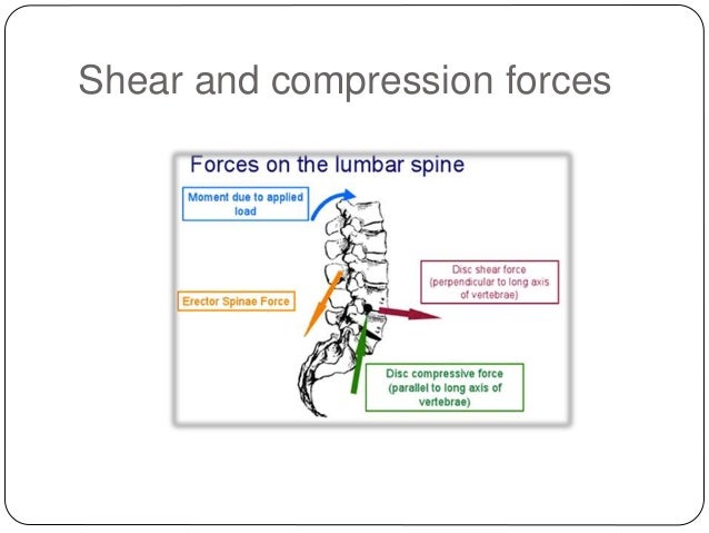 Anatomy and biomechanics of lumbar spine