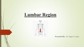 Lumbar Region
Presented By: Dr. Sagar S. Gajra
 