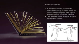 Lumbar spine 2020.pptx