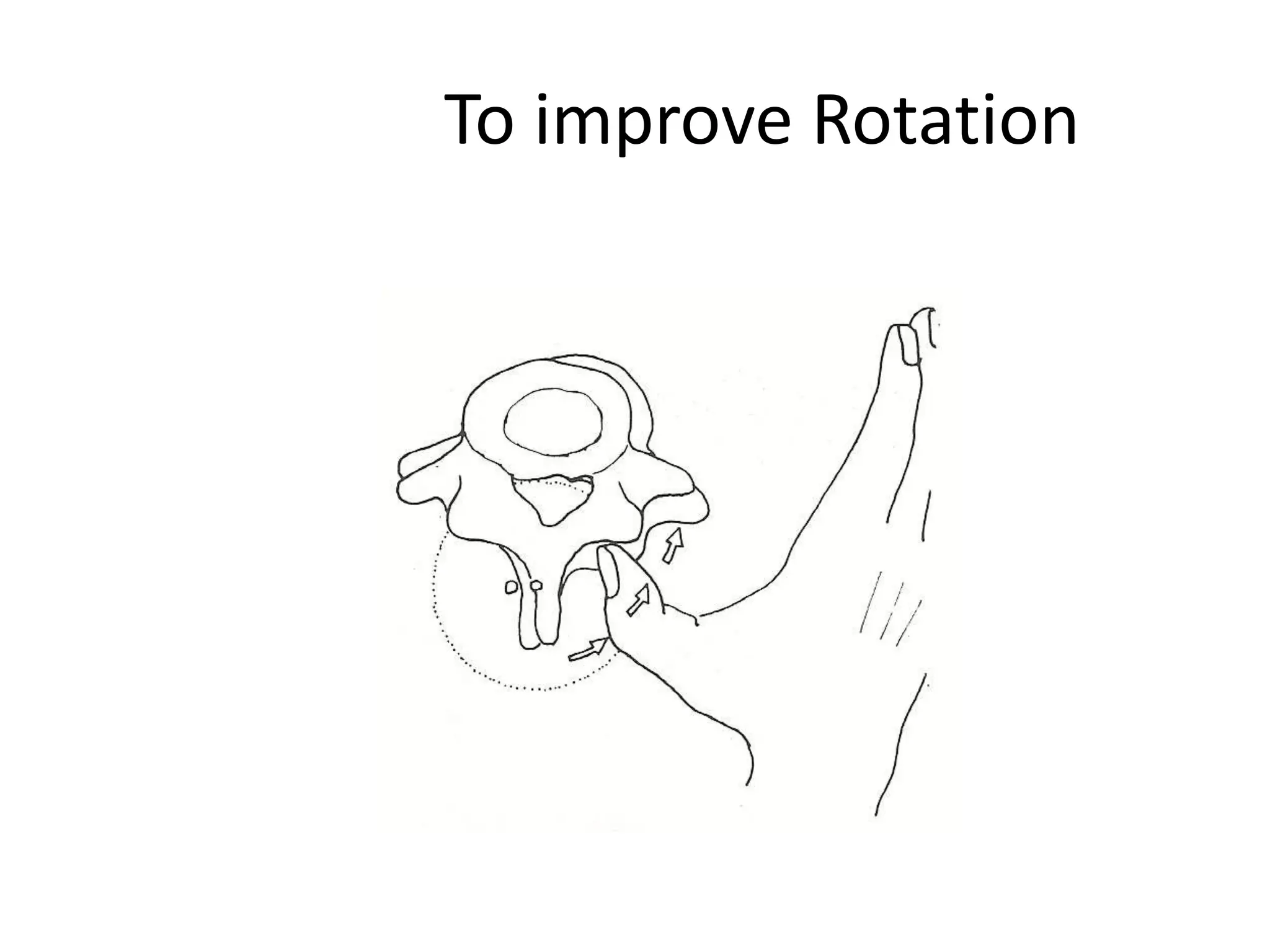 Basics of Lumbar spine mobilisation | PPT