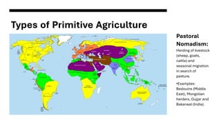 Lumbering and Primitive Agriculture lecture | PDF