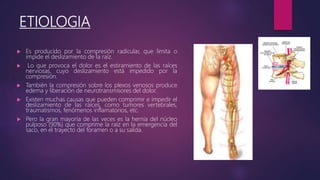 ETIOLOGIA
 Es producido por la compresión radicular, que limita o
impide el deslizamiento de la raíz.
 Lo que provoca el dolor es el estiramiento de las raíces
nerviosas, cuyo deslizamiento está impedido por la
compresión.
 También la compresión sobre los plexos venosos produce
edema y liberación de neurotransmisores del dolor.
 Existen muchas causas que pueden comprimir e impedir el
deslizamiento de las raíces, como tumores vertebrales,
traumatismos, fenómenos inflamatorios, etc.
 Pero la gran mayoría de las veces es la hernia del núcleo
pulposo (90%) que comprime la raíz en la emergencia del
saco, en el trayecto del foramen o a su salida.
 
