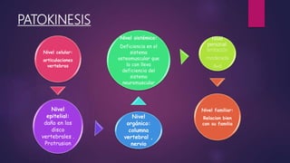 PATOKINESIS
Nivel celular:
articulaciones
vertebras
Nivel
epitelial:
daño en los
disco
vertebrales .
Protrusion
Nivel
orgánico:
columna
vertebral ,
nervio
Nivel sistémico:
Deficiencia en el
sistema
osteomuscular que
lo con lleva
deficiencia del
sistema
neuromuscular
Nivel
personal:
limitación
moderada
Avd
Nivel familiar:
Relacion bien
con su familia
 