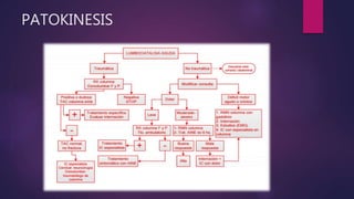 PATOKINESIS
 