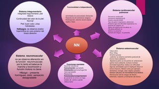 NN
Sistema integumentario
integridad tegumentaria: piel
reseca
Continuidad del color de la piel:
Normal
Piel: buen color, uñas
hidratadas.
Hallazgos: se observa cicatriz
hipertrófica en cara anterior del
brazo derecho
Funcionalidad e independencia
Actividades de autocuidado: limitación
Disposit,ivos de asistencia: ninguno
Participación entorno social: esposa,
madre e hijos
Sistema cardiovascular
pulmonar
Frecuencia cardiaca:80
Frecuencia respiratoria:18
Presión arterial:120/80
Tipo de patrón respiratorio: abdominal
Presenta signo de dificultad respiratoria: no
Soporte de oxigeno: no
Signos de obstrucción vía aérea: no
Vía aérea artificial: no
Edema: no presenta
Factores de riesgos : no presenta
Sistema neuromuscular
no se observa alteración en
la función neuromuscular,
por lo tanto el balance la
marcha y locomoción y
función motora no tiene.
Hllazgo: : presenta
hormigueo, dolor, sensación
desagradable
Sistema osteomuscular
Talla:1.65m
Peso: 65kg
Simetría gruesa
sedente: se observa asimetría postural de
tronco hacia adelante
Bipedo:la pelvis se encuentra en anteversion
(pelvis hacia adelante ,lordosis lumbar)
Actividad especifica: realiza con dificultad
algunas actividades que le impliquen llevar el
tronco hacia la flexión como por ejemplo:
desherbar, fumigar, alzar objetos pesados.
RANGO GRUESO DE MOVIMIENTO(SCRINING
Disminución de los rangos de flexión ,
extensión, rotación y inclinación de tronco.
Funciones mentales
Nivel de conciencia
Comunicación: apropiada
Orientación:(persona/lugar/tie
mpo):apropiado
Respuestas
Emocionales/comportamient
o: paciente se torna con bajo
estado de animo cuando
refiere dolor
 
