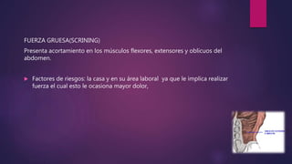 FUERZA GRUESA(SCRINING)
Presenta acortamiento en los músculos flexores, extensores y oblicuos del
abdomen.
 Factores de riesgos: la casa y en su área laboral ya que le implica realizar
fuerza el cual esto le ocasiona mayor dolor,
 